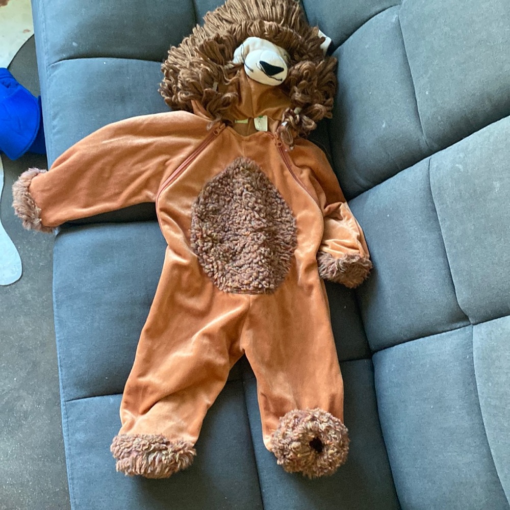 Warm Lion Costume